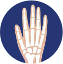 Wrists