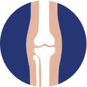 Knees